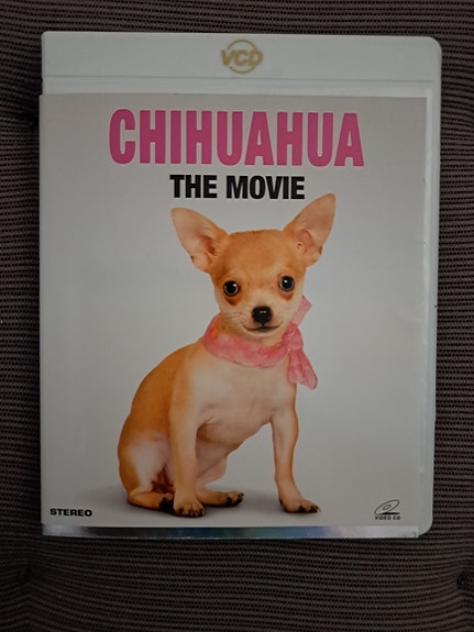 Chihuahua The Movie