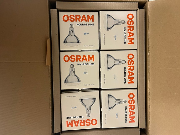 Osram 80w kasvilamppuja