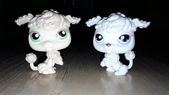 Lps puudelit