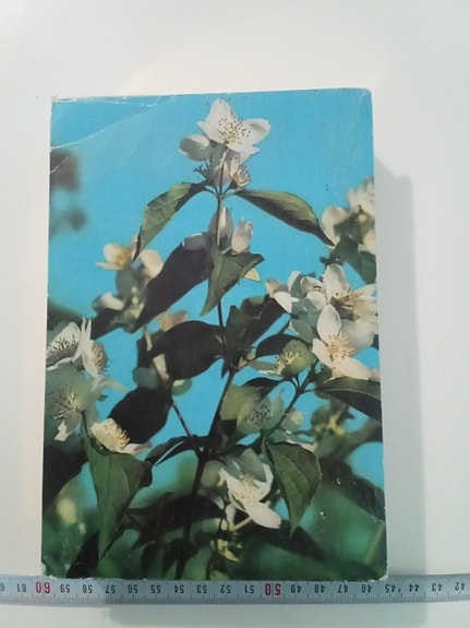 Product image 8 of 11