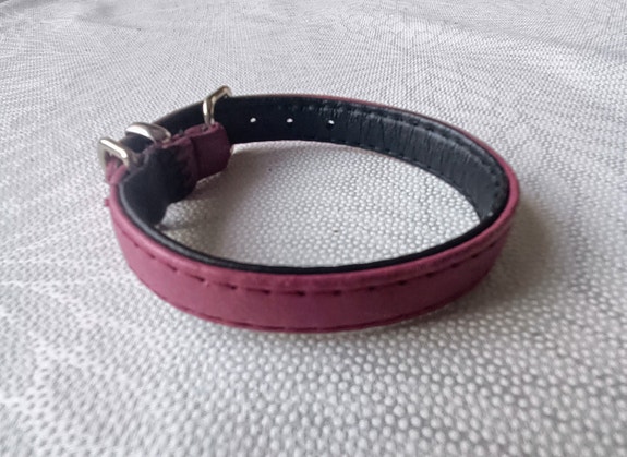 Koiran panta, JOKKE Hilton nahkapanta