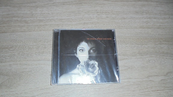 Kate Bush: The sensual world
