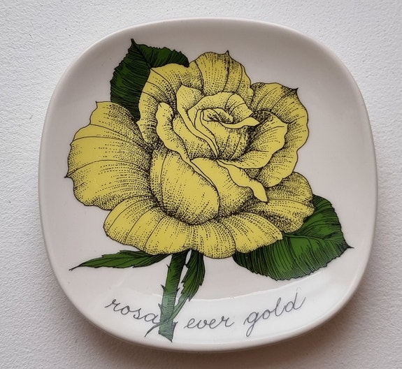 Arabia Botanica seinälautanen Rosa ever gold