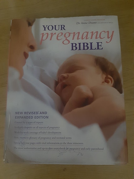 Anne Deans Your pregnancy bible Raskauden opas