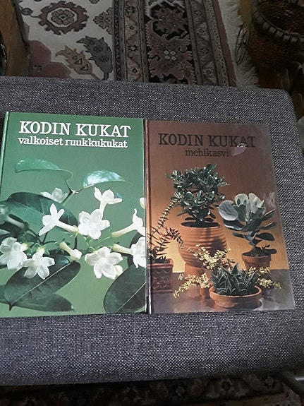 Kodin kukat 2kpl