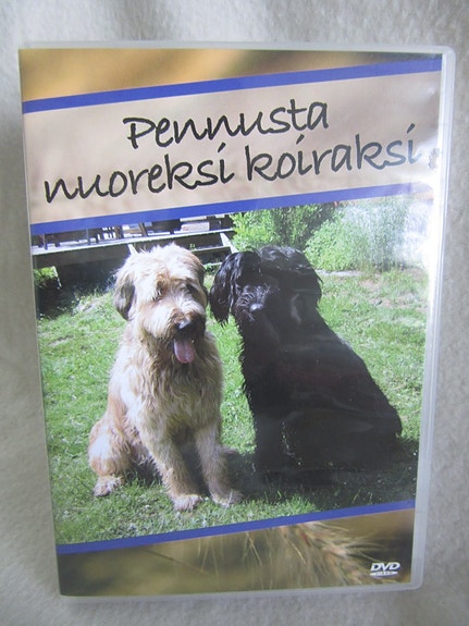 Pennusta nuoreksi koiraksi dvd
