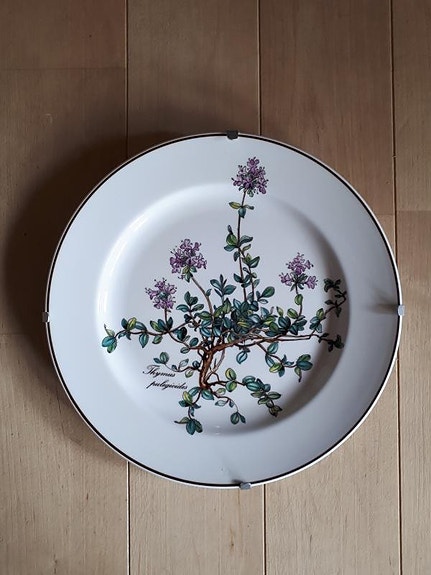 Villeroy & Boch Botanica