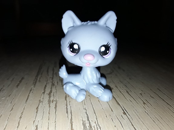 Lps husky