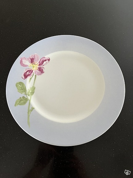 6x Coventry fine porcelaine wild rose ruokalautanen
