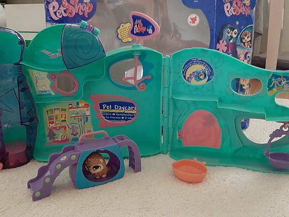 Pet shop pet daycare