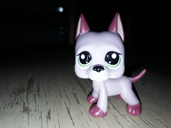 Lps tanskandoggi