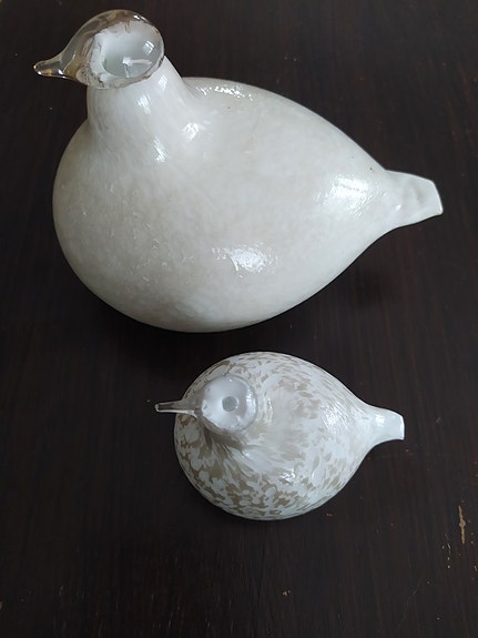 Oiva Toikan linnut