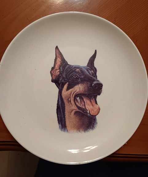 Dobermann lautanen