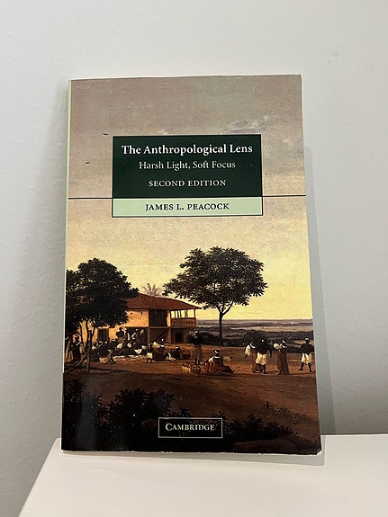 The anthropological lens