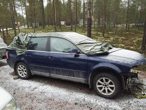 VW Passat 3bg, 1.9, osina
