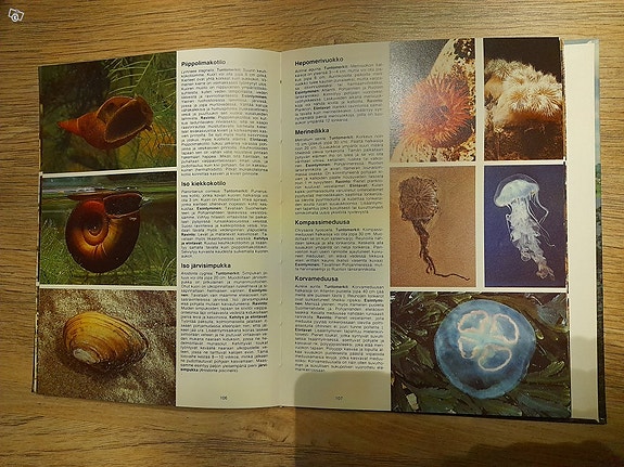 Koko perheen luonto opas, Gummerus