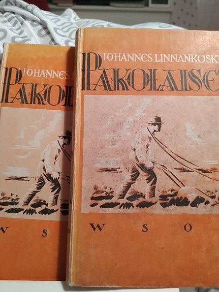 Johannes Linnankoski - Kirjat