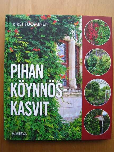 Puutarha: Pihan köynnöskasvit / Kivikkopuutarha
