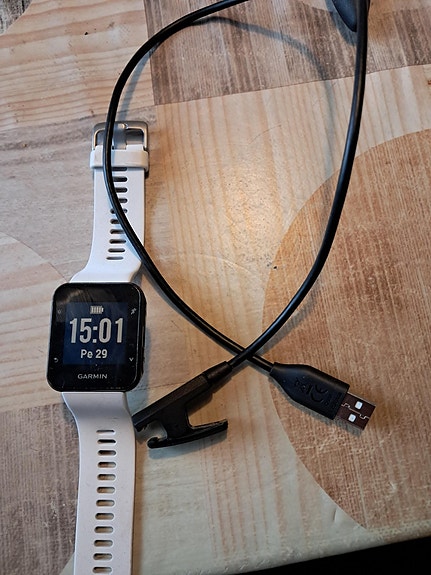Garmin