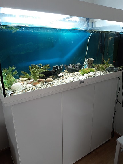 Akvaario 180l Juwel