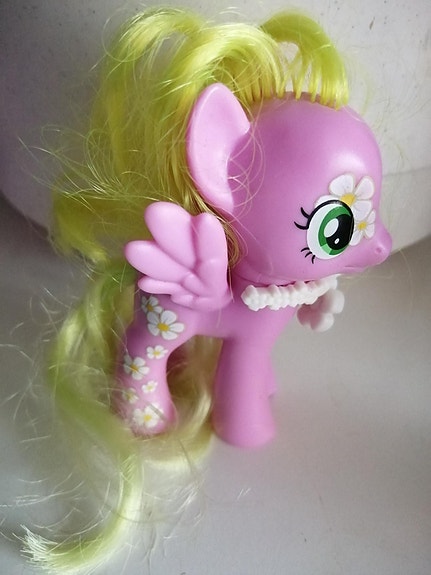 My little pony Flower wishes G4