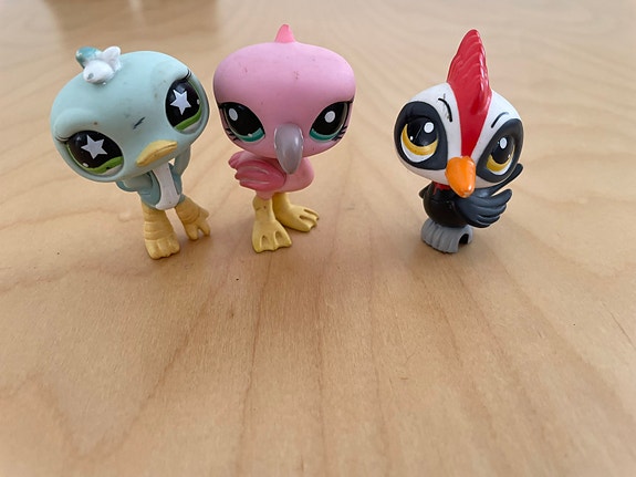 Lps lintuja