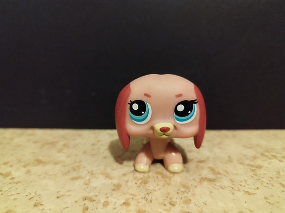 Lps Mäyräkoira