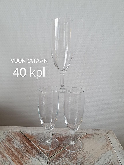 Kuohuviinilasit / Vuokrataan 40kpl