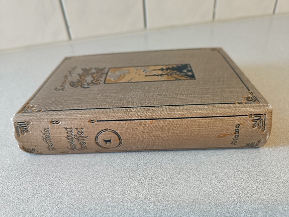 Teuvo Pakkala, Kootut teokset Osa 1  1921