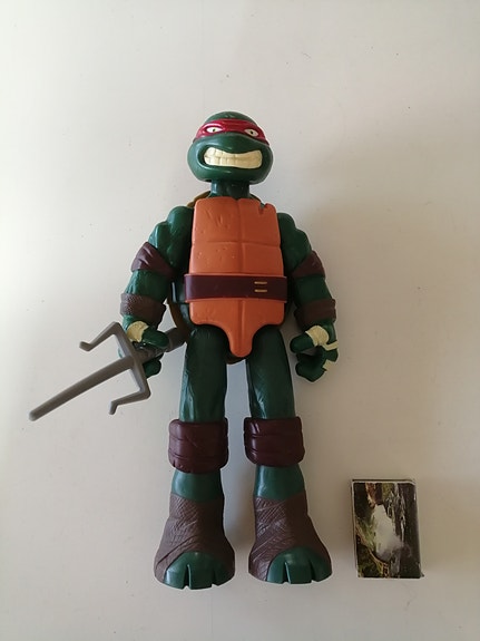 Rafaello TMNT