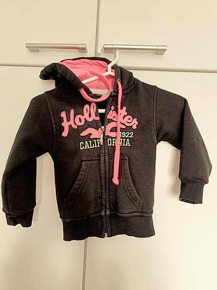Hollister huppari