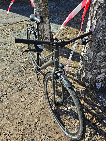 Kalkhoff Durban one single speed