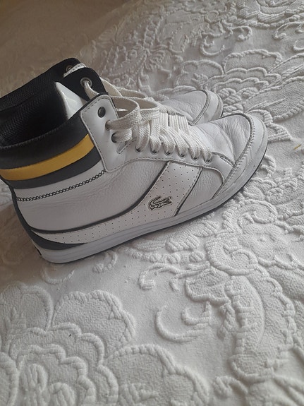 Lacoste kengät koko 36