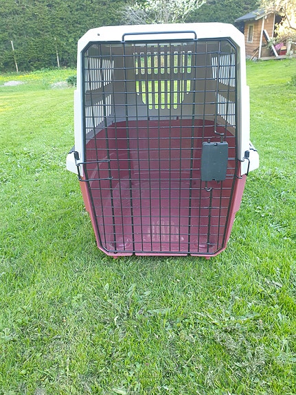 Petmate Vari Kennel Koirankuljetuslaatikko Iso Punainen Muovi