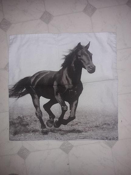 koriste tyynyn päällinen