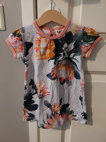 Molo mekko 74