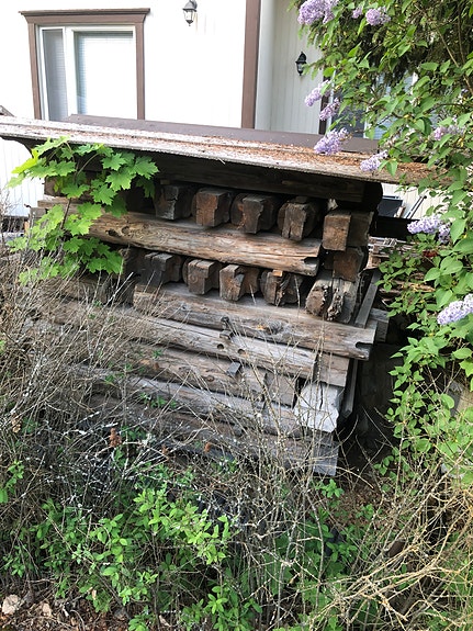 Hirsiä