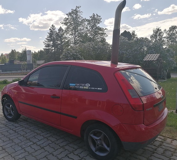 Ford-pihasauna