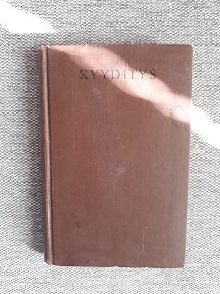 Erkki Ahonen: Kyyditys -kirja