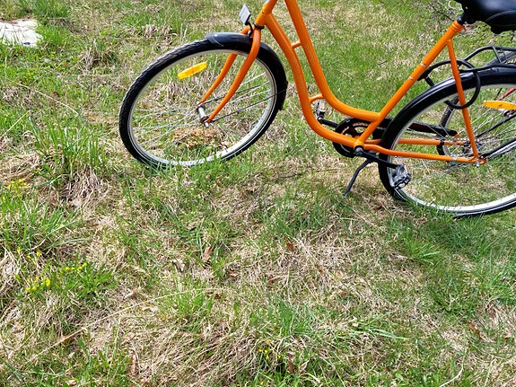 Naisten polkupyörä