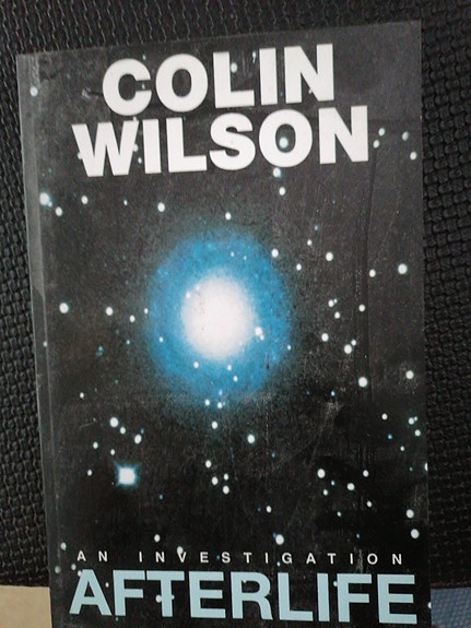 Afterlife Colin Wilson