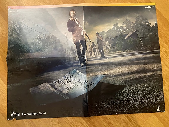 The Walking Dead juliste