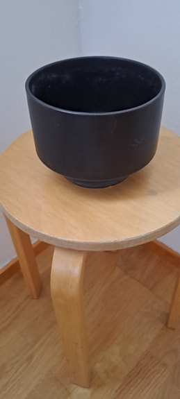 Arabian kukkaruukku