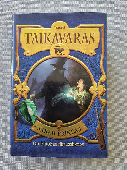Kirja Sarah Prineas: Taikavaras