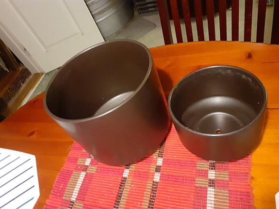 Arabian kukkaruukut
