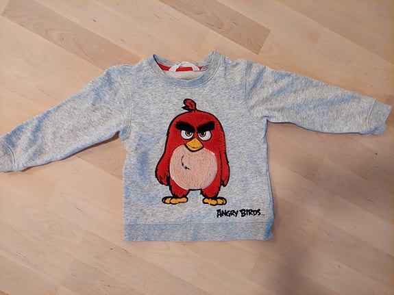 Angry Birds collegepaita
