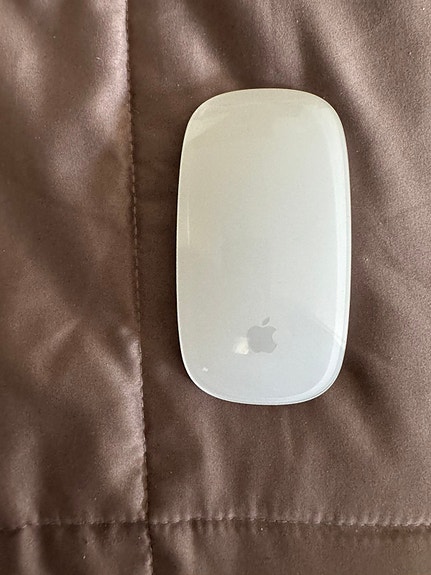 Apple maqic mouse