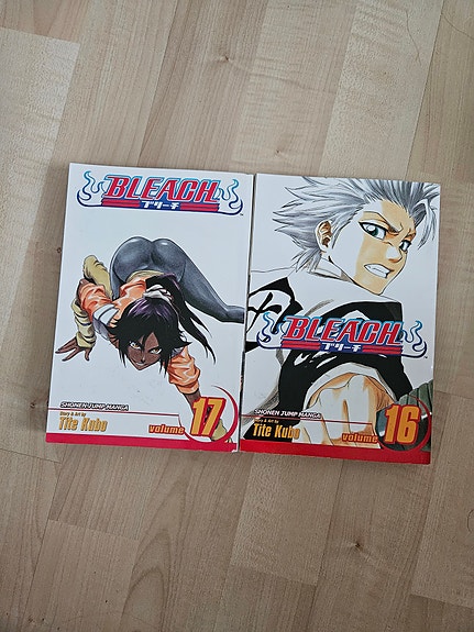 Bleach mangaa