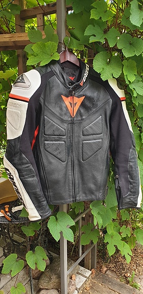Dainese Avro