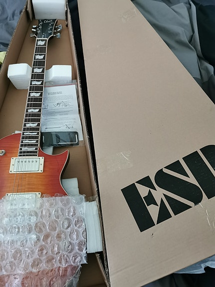 ESP ltd ec-256